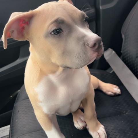 Photo for 156442 [Kerby ]