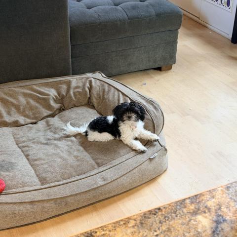 Photo for 156456 [Tuby]