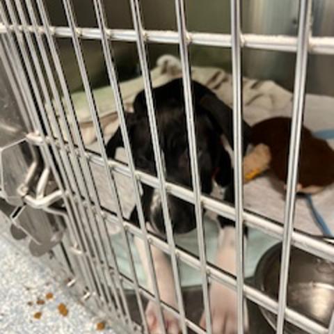 Photo for 156459 [Amme]