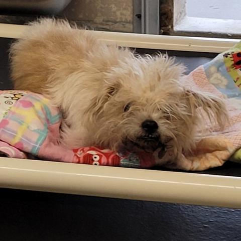 Photo for 156466 [Jacky]