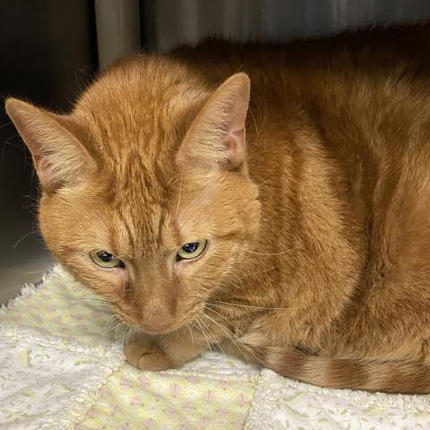 Photo for 156471 [381050]