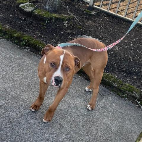 Photo for 156480 [381055]