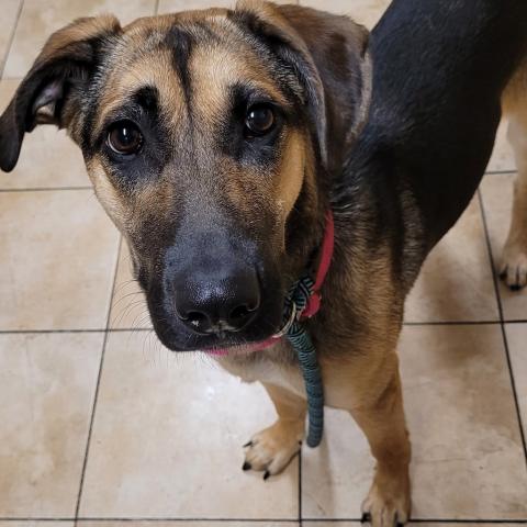 Photo for 156482 [Keks]