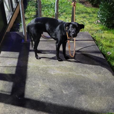 Photo for 156491 [fr156491]