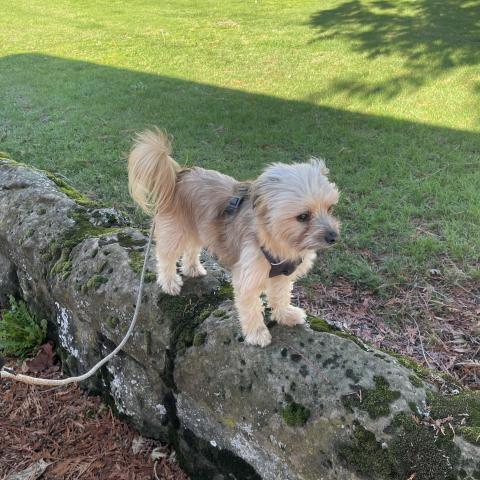 Photo for 156493 [Joph (Jophiel)]