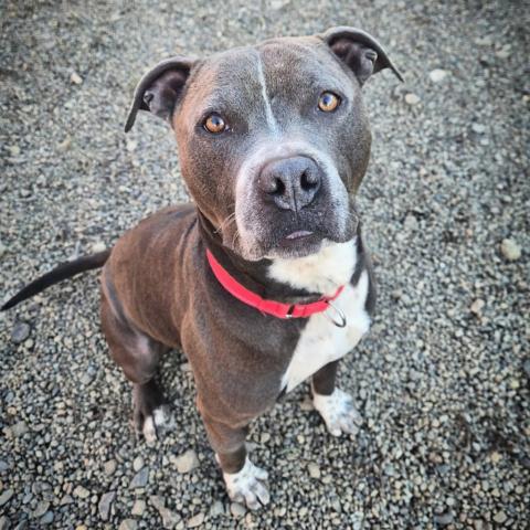 Photo for 156511 [Eeyore]