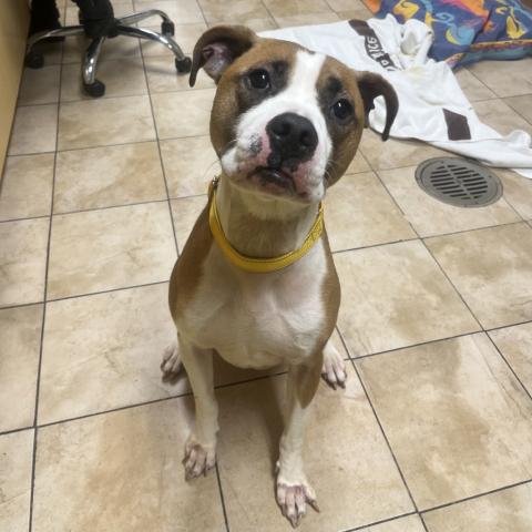 Photo for 156516 [Mister]