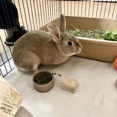 Photo for 156527 [fr156527]