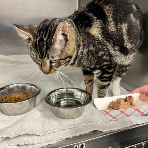 Photo for 156535 [Marty]