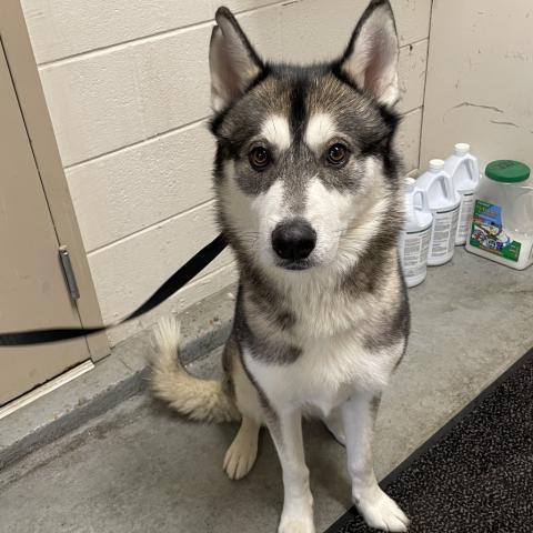 Photo for 156577 [Bello]