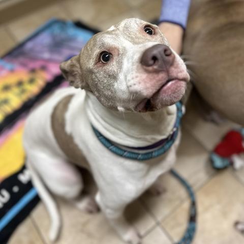 Photo for 156579 [Arrow]