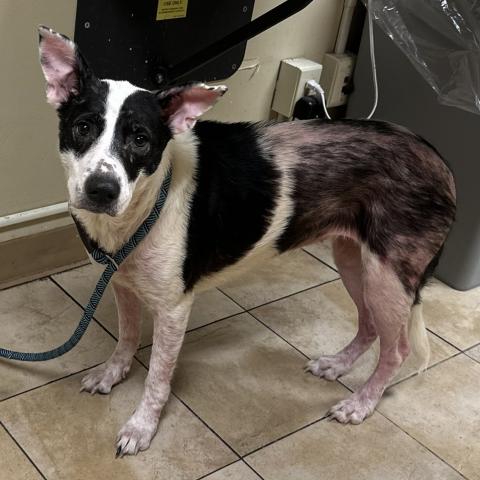 Photo for 156595 [Baybee]