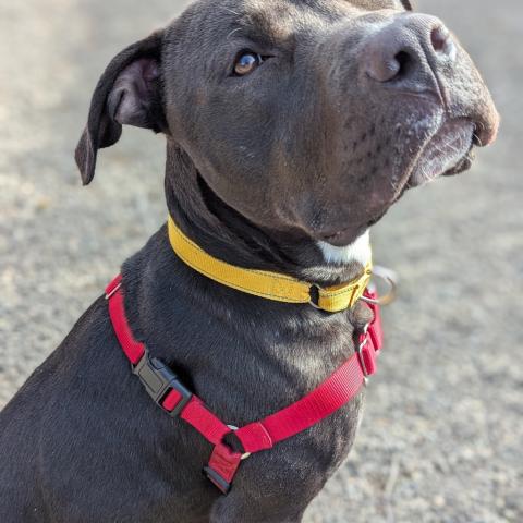 Photo for 156660 [Magee]