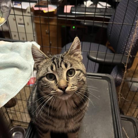 Photo for 156691 [fr156691]