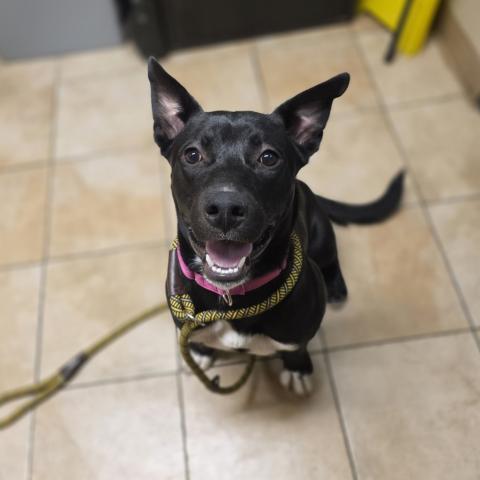 Photo for 156748 [Cece]