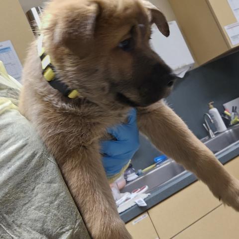 Photo for 156772 [Marinara]