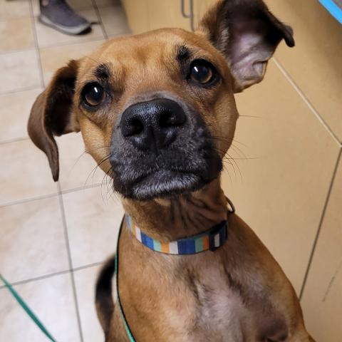 Photo for 156778 [Runa]