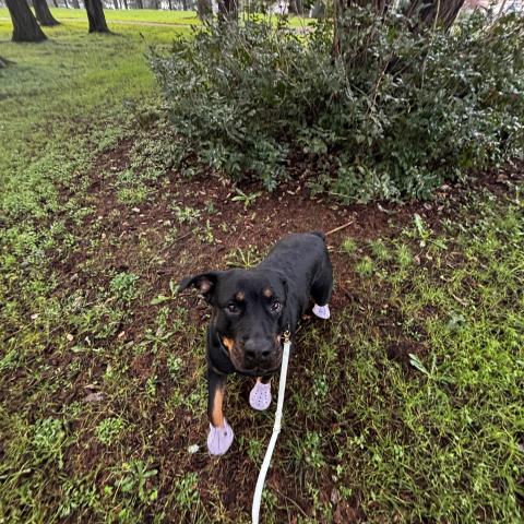 Photo for 156867 [Gabby]