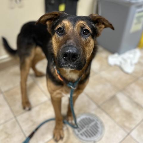 Photo for 156878 [Cash]