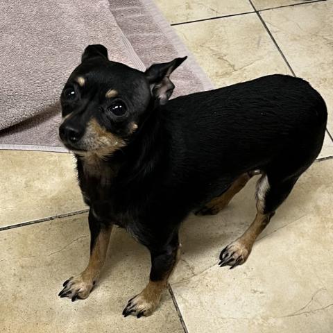 Photo for 156953 [Barnacle Bob]