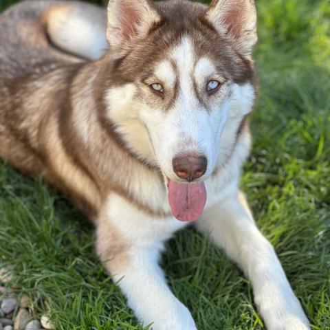 Photo for 156967 [Dulce]