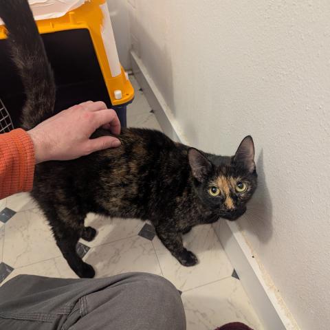 Photo for 157012 [fr157012]