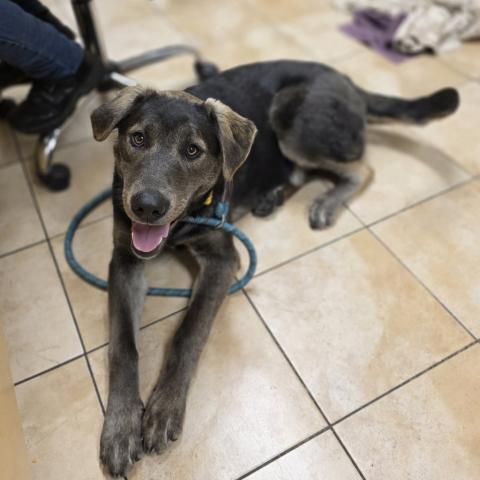 Photo for 157018 [Walton]