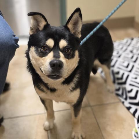 Photo for 157053 [Gus Gus]