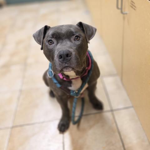 Photo for 157059 [Birdie]