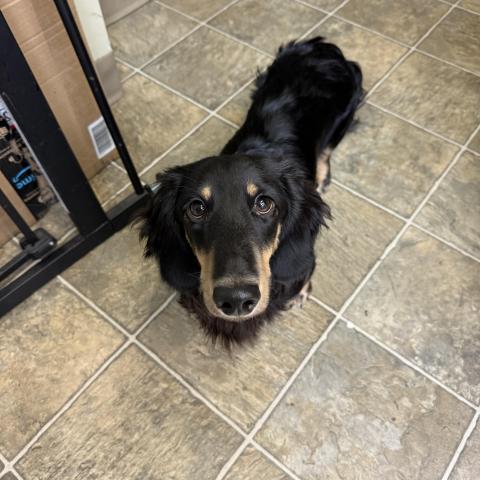 Photo for 157064 [Ralphie]