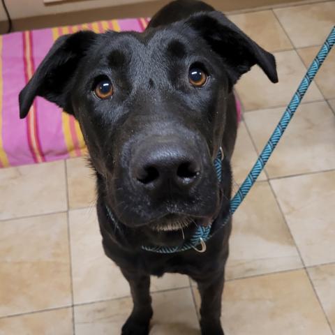 Photo for 157112 [Umbra]