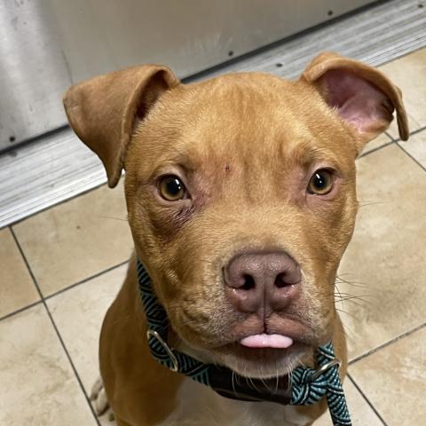 Photo for 157126 [Kewpie]