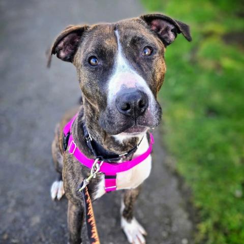 Photo for 157130 [Claire]