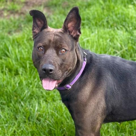 Photo for 157136 [Bette Davis]