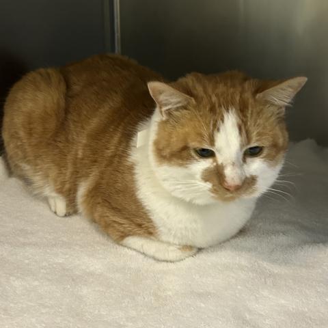 Photo for 157164 [Arnold]