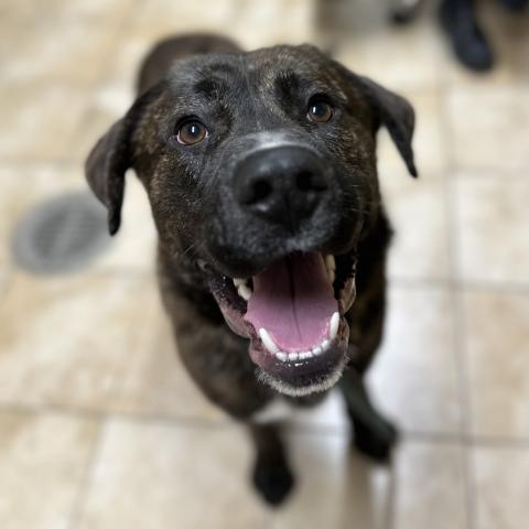 Photo for 157191 [Oso]