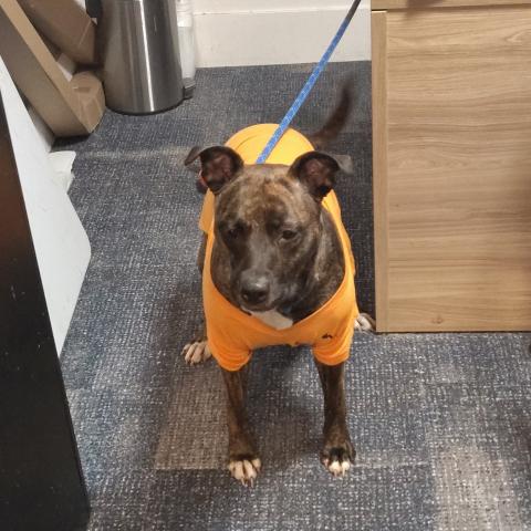 Photo for 157198 [fr157198]