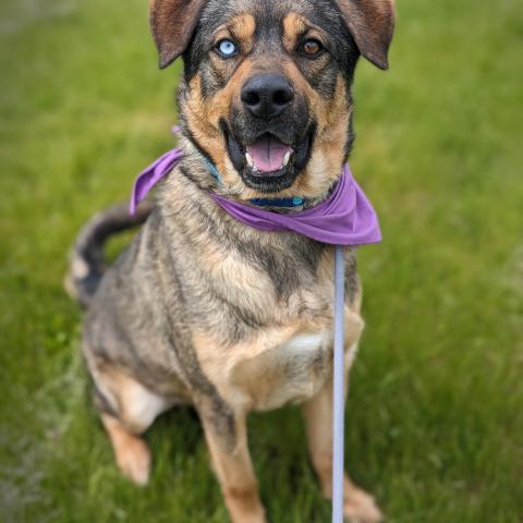 Photo for 157215 [Oscar]