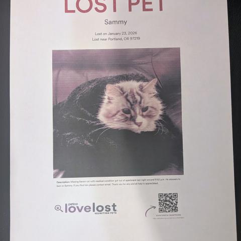 Photo for 157220 [Sammy/ Sam]