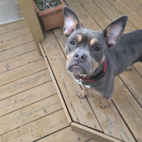 Photo for 157227 [fr157227]