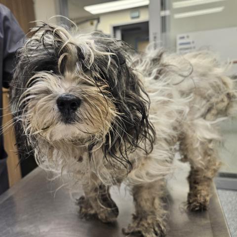 Photo for 157240 [Matty]