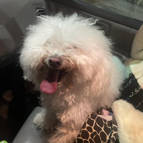 Photo for 157254 [fr157254]