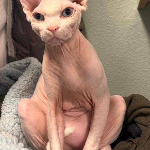 Photo for 157259 [Hugo]