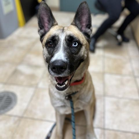 Photo for 157265 [Kingsley]