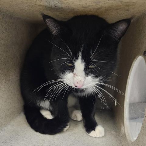 Photo for 157280 [Bernie]