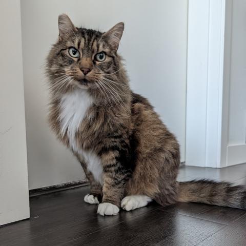 Photo for 157298 [Medusa]