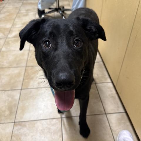 Photo for 157299 [Lightning Mcqueen]