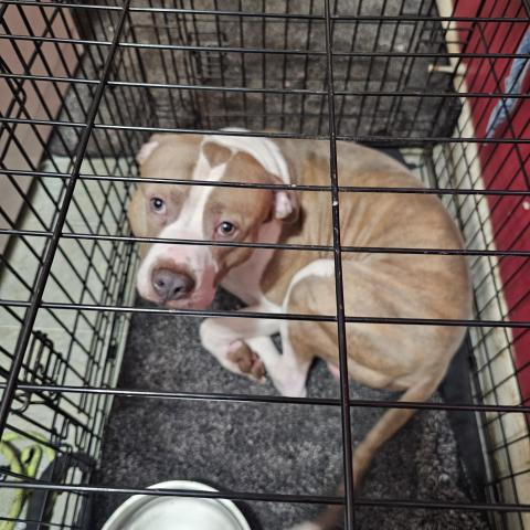 Photo for 157316 [fr157316]