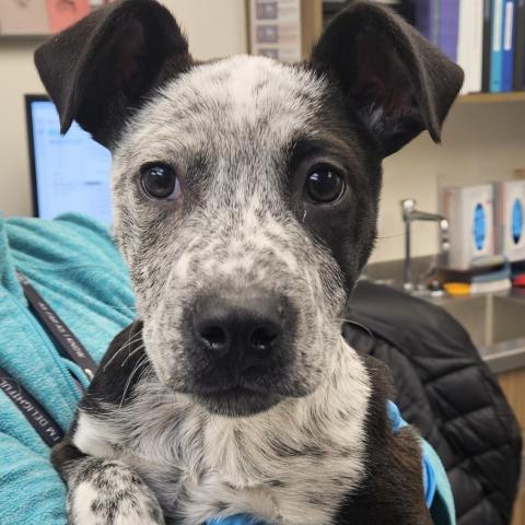 Photo for 157320 [Ferdinand]