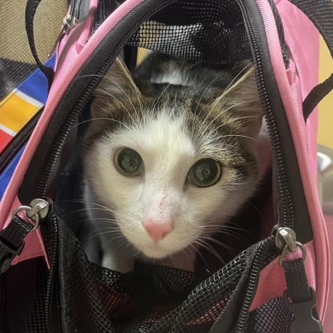 Photo for 157324 [Rob]